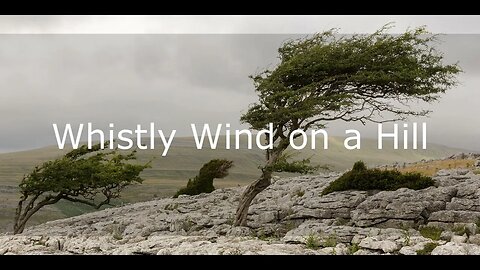 Wind Soundclips (Strong Wind, Whistly Wind, Wind through tall Grass, Wind through Leaves) HD