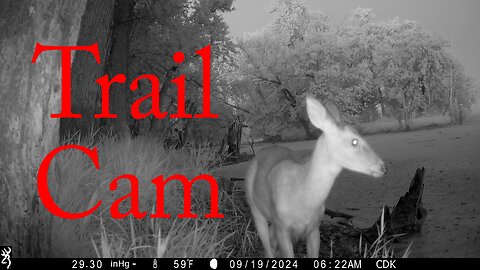 Trail Camera Adventure Episode 8