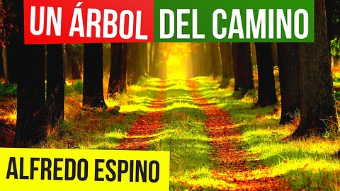 UN ARBOL DEL CAMINO ALFREDO ESPINO 🌳🐦 | Jícaras Tristes Auras del Bohío 💚 | Alfredo Espino Poemas