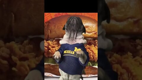 Pug Dog Loves Popeye's Chicken! Try Not To Laugh! #shorts #dog #shortsviral @FunnyAnimalsMovieQuotes