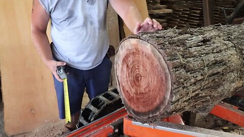 Saw-Milling Incredible Walnut Boards & Finding Black Gold Under The Bark.