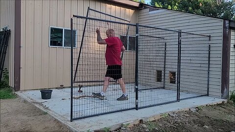 New Dog Kennels