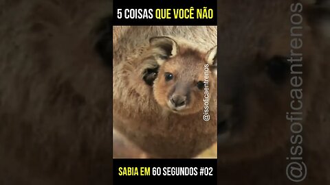 5 coisas que você não sabia #shorts #viral #comidasaudavel