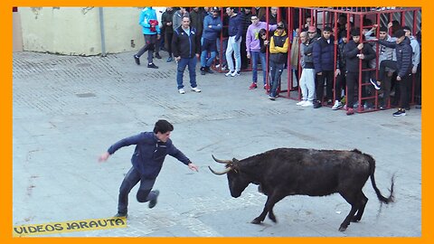 AUTOL ( LA RIOJA ) TARDE VACAS CALLE ( VIERNES 3 FEBRERO 2023 ) GANAD.MERINO