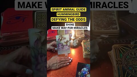 #dailytarotreading #shortsfeed #tarotshort #animalspiritguides #spiritguidemessage#lawofattraction