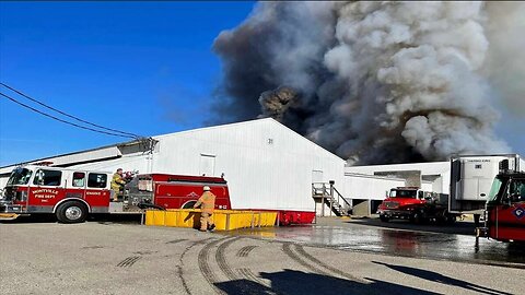 100,000 chickens die in fire at Connecticut egg farm