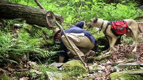 Ep 6: Backpacking Water Filters are a Gimmick