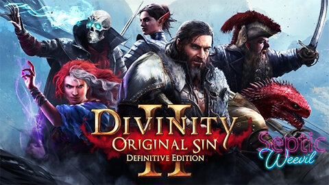 Divinity: Original Sin 2 Definitive Edition