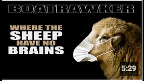 Where the Sheep Have no Brains by Screw U