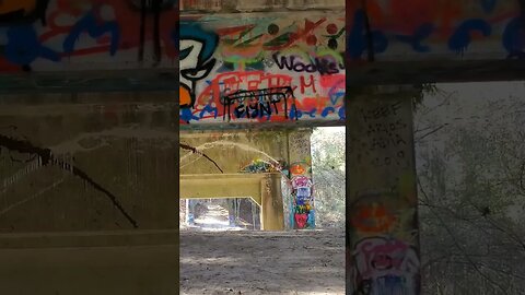 Beneath the Graffiti Bridge to Nowhere 4 #shorts