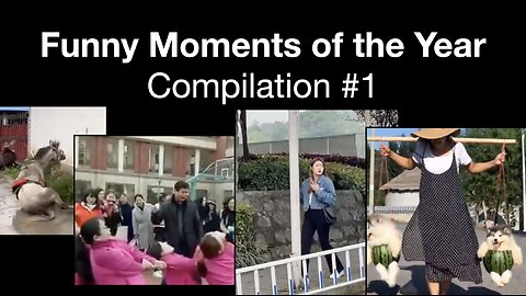 Funny Moments Of The Year - Compilation #1 😂🤣🙊