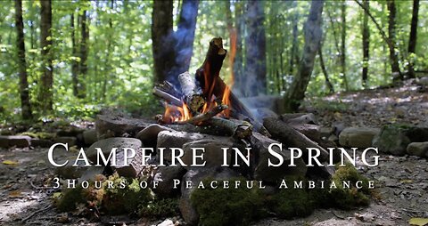 Relax and Unwind with Peaceful Campfire ASMR Nature Sounds | Soothing Video for Stress Relief