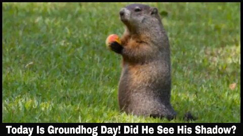 Today Is Groundhog Day! Did He See His Shadow?