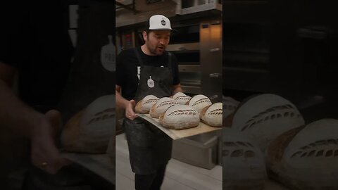 🧑‍🍳 learn about sourdough #shorts