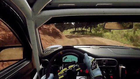 DiRT Rally 2 - 911 RGT Scurries Through Ocean Beach