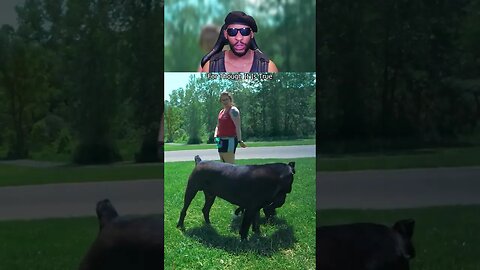 The Most SAVAGE Dogs On The Planet! @WakandanSavage #shorts #dog #funny #viral