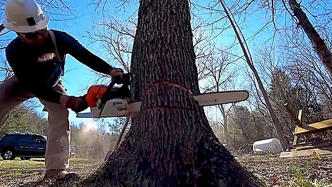 This Big Cherry Just About Got Me, TN Logging