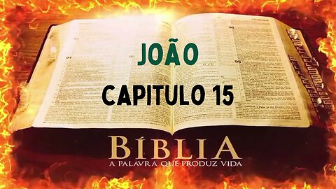 Bíblia Sagrada João CAP 15