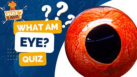 What Am EYE? Guess the Animal Eye Quiz