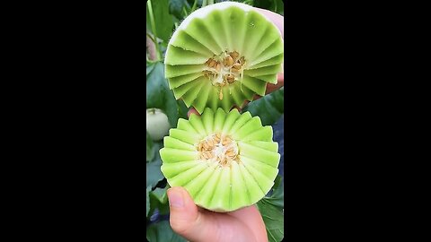 Wow amazing fruit