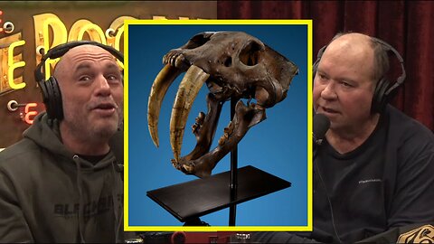 "Never saw my SABERTOOTH SKULL again!"- Alaskan Sabertooth w/ John Reeves | JRE