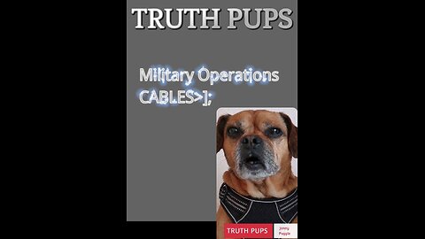 MILITARY OPERATION CABLES]; BY TRUTH PUPS