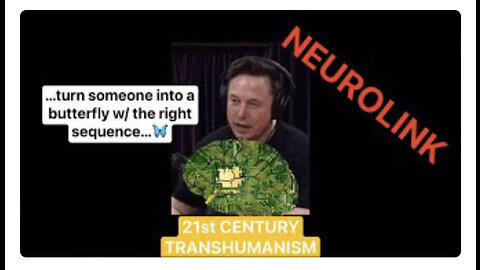 Elon Musk / Neurolink / Synthetic RNA