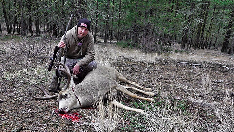 Road Chickens and Mule Deer Hunting (British Columbia, Canada)