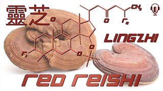 Reishi is a "wimpy" Adaptogen but there are 9 reasons to try it anyway...