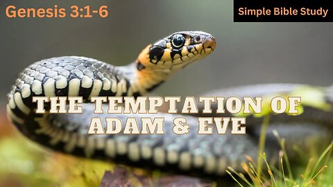 Genesis 3:1-6: The Temptation of Adam and Eve | Simple Bible Study