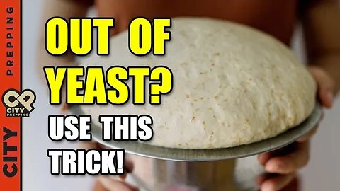 How to Make Yeast From Scratch (DIY) with a Potato