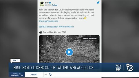 Fact or Fiction: Bird charity locked out of Twitter over Woodcock