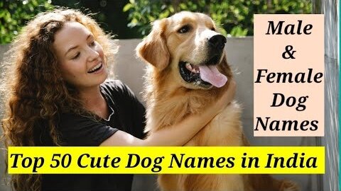 Unique Dog Names 2022 -- Dog Names for female -- Top 50 male and female Dog name