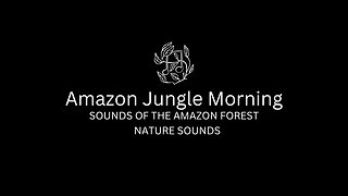 AMAZON JUNGLE FOREST BLACK SCREEN