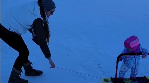 8 Month Old Snow Gromlin