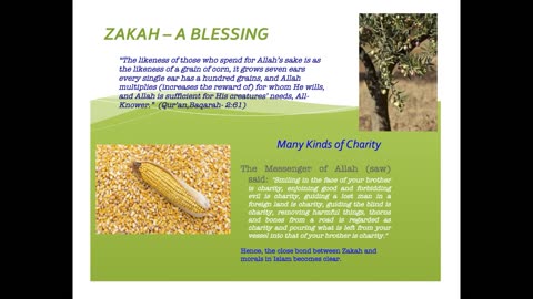 Zakah -Charity - 5 Pillars of Islam