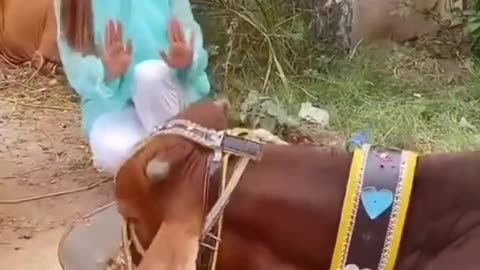 Famous Molvi New Bakra Eid Funny Tik Tok Videos 2022