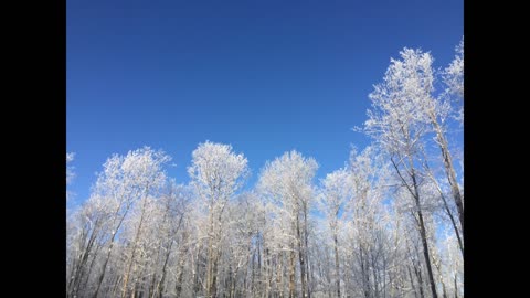 Look Up!: You Are What You Think