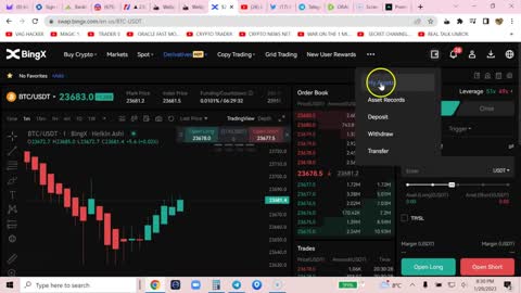 BING X ISOLATED MARGIN vs CROSS MARGIN