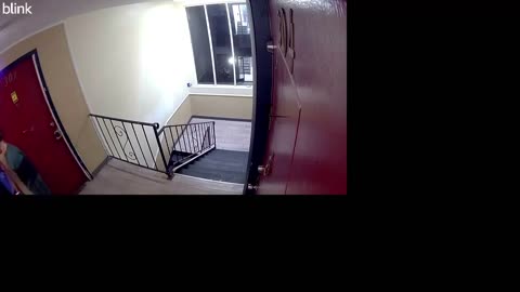 video shows armed gang of Venezuelan illegals take over apartment complex in Aurora, Colorado.