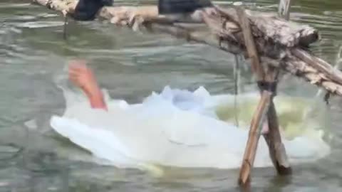 Oversized Bride Crosses Stick Bridge