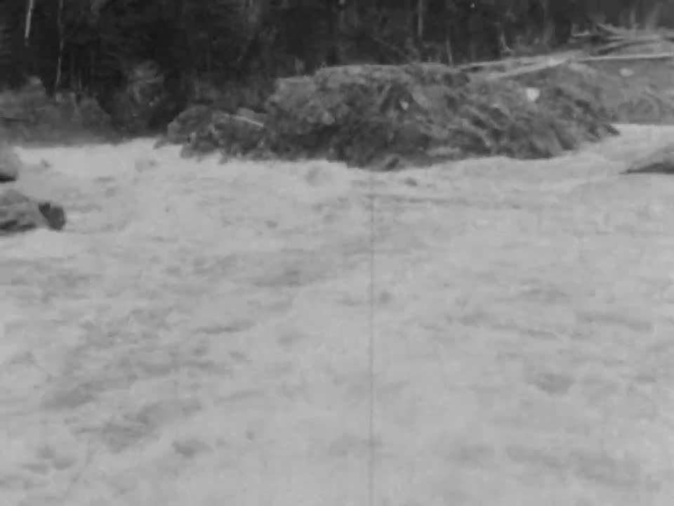 Logging In Maine (1906 Original Black & White Film)