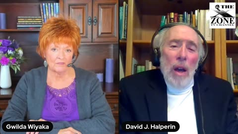 Mission Evolution with Gwilda Wiyaka Interviews - DAVID HALPERIN - UFOs Are A Myth