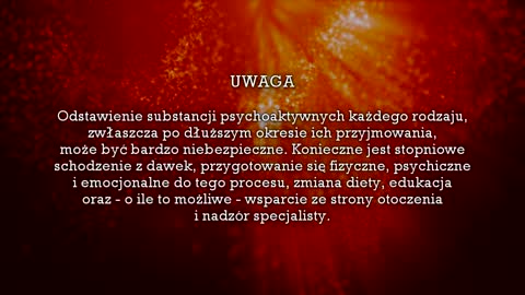 Czego nie powiedzą wam psychiatrzy? ~ Dr Sofia Dorinskaja