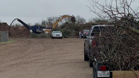 We’ll call the ice damage “Ice-Vid ‘23” here in Georgetown TX …