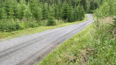 Esapekka Lappi Rally Finland 2022 test Toyota GR Yaris Rally1