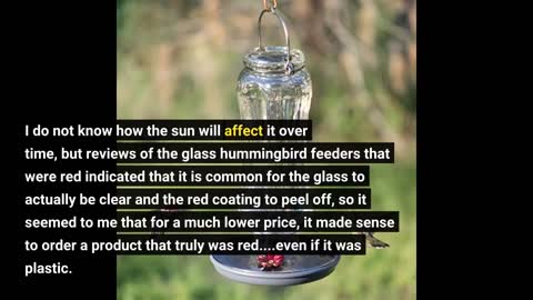 More Birds Hummingbird Feeder, Plastic Hummingbird Feeders, Red, 4 Feeding Stations, 25-Ounce N...