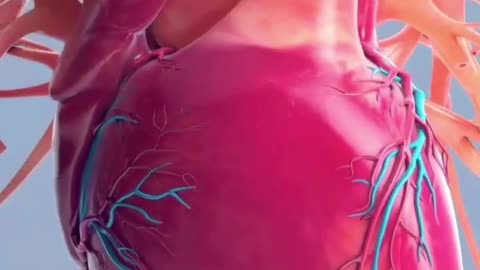 Heart 3D animation ,Medical video #3Dmedico