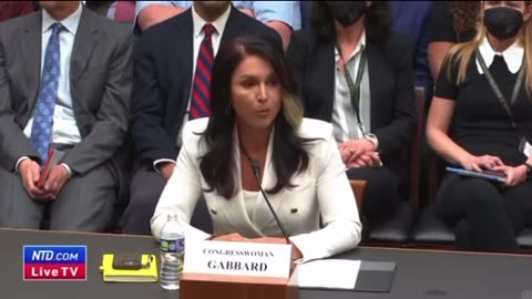 Tulsi Gabbard Opening Statement House Oversight Committee