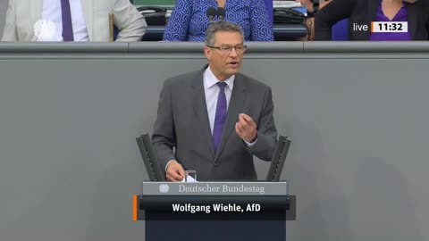 Wolfgang Wiehle Rede vom 13.09.2024 – Wirtschaft und Klimaschutz